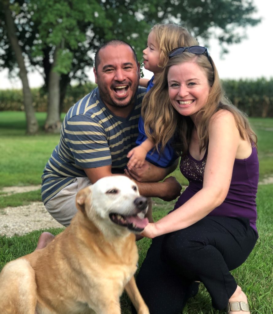 Veterinary Services at Americana Animal Hospital Vets in Bloomington, IL